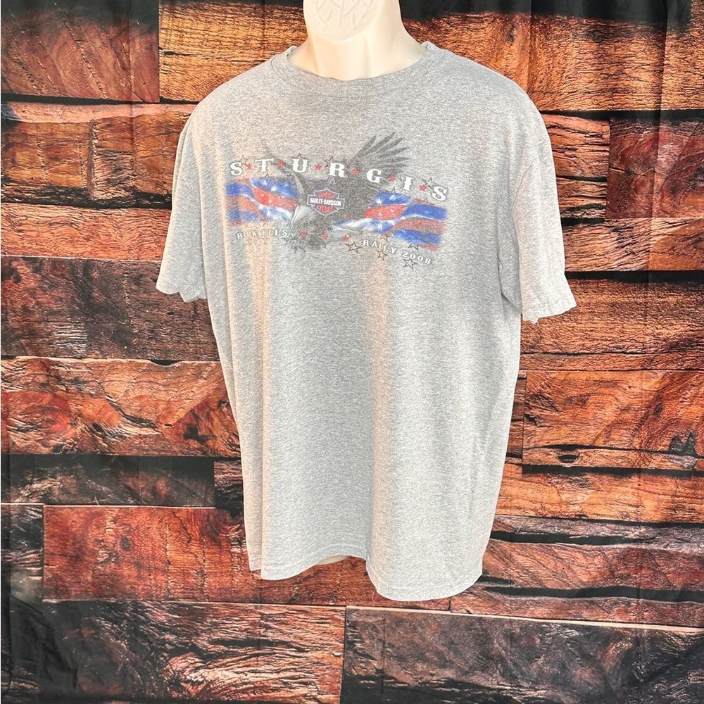 Harley-Davidson Gray Sturgis Graphic Tee